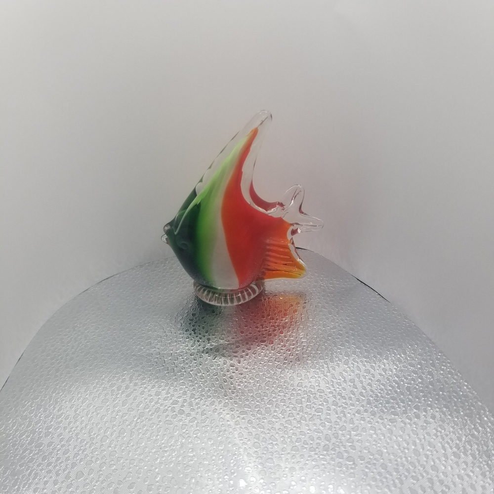 Glass fish - Picture 8 of 16